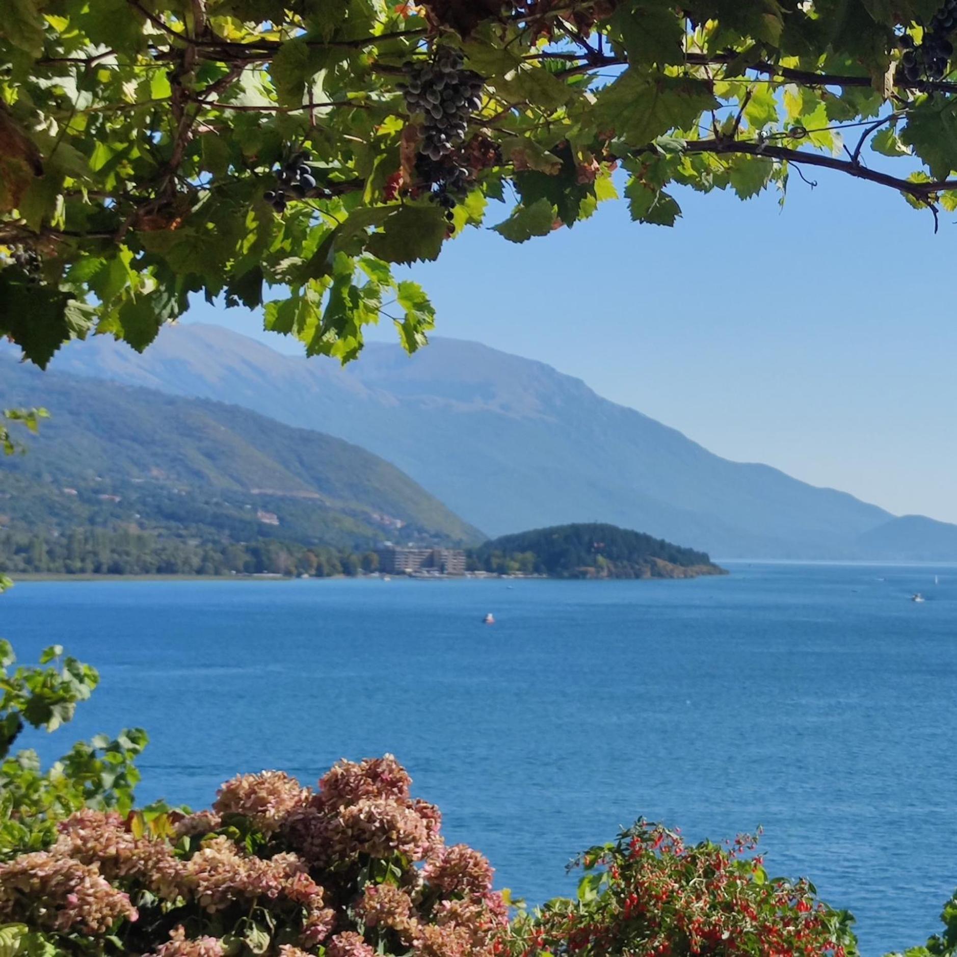 Malezan * Ohrid